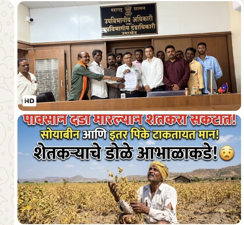 कोरडा दुष्काळ जाहीर करून शेतकऱ्यांना आर्थिक मदत द्या!रखडलेला पीक विमा त्वरित द्या